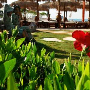 Hotel Elysees egipat (11)