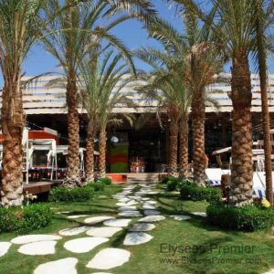 Hotel Elysees egipat (25)