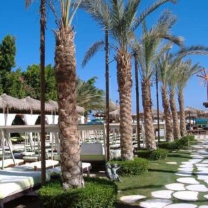 Hotel Elysees egipat (31)