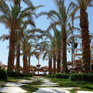 Hotel Elysees egipat (39)