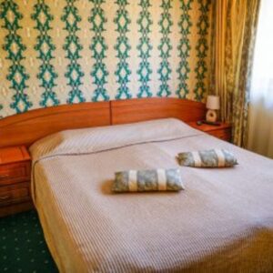 Delete_vos_travel_zimovanje_bugarska_breza_hotel11