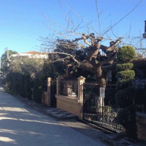 Delete_vila_elektra_vos_travel_letovanje6