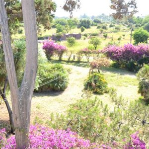 Hotel Porto Azzuro 3* Katanija Sicilija Italija Đardini Naksos za parove