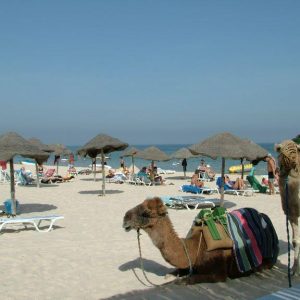 Hotel Liberty Resort Monastir 4* Skanes Tunis za porodice