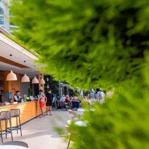 Hotel Riolavitas Resort & Spa 5* Side Antalijska regija Turska