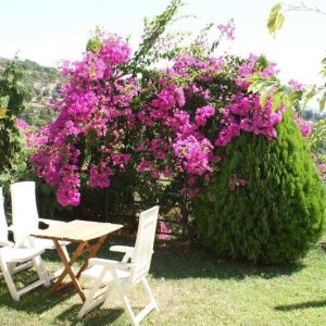 Vila Magnolia Sivota Jonska regija Grčka Zeri plaža 300m