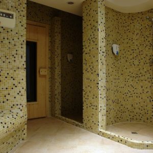 Hotel Winslow Highland 2* Bansko Bugarska aparthotel