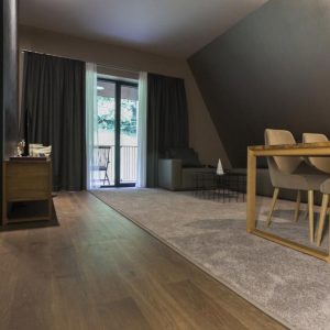 Hotel Sotelia 4* Terme Olimia Slovenija wellness & spa