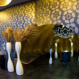 Hotel Sotelia 4* Terme Olimia Slovenija wellness & spa