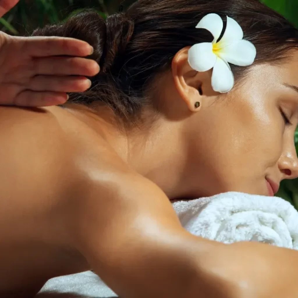 Terme Olimia Slovenija Wellness & Spa