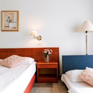 Hotel Toplice 4* Terme Čatež Slovenija Wellness & Spa