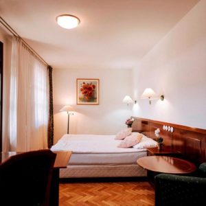 Hotel Toplice 4* Terme Čatež Slovenija Wellness & Spa