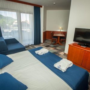 Hotel Toplice 4* Terme Čatež Slovenija Wellness & Spa