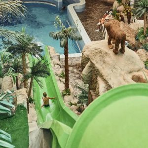 Hotel Toplice 4* Terme Čatež Slovenija Wellness & Spa