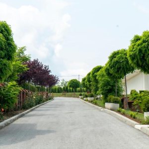 Hotel Alexander 3* - Luksuzni odmor na Kosmaju