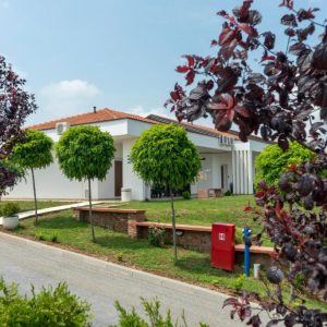 Hotel Alexander 3* - Luksuzni odmor na Kosmaju