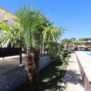 Hotel Alexander 3* - Luksuzni odmor na Kosmaju