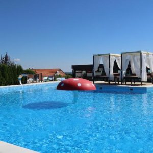 Hotel Alexander 3* - Luksuzni odmor na Kosmaju