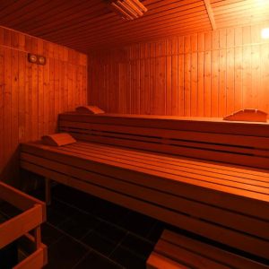 Hotel Alexander 3* - Luksuzni odmor na Kosmaju