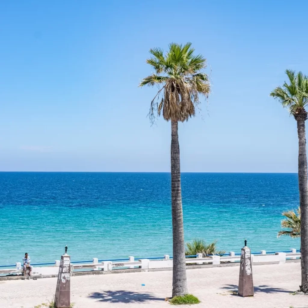 Sus Tunis