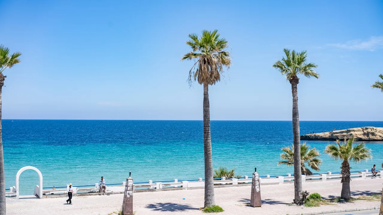 Sus Tunis
