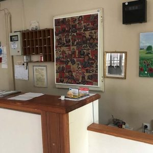 Vila elektra edipsos , Evija, Grčka