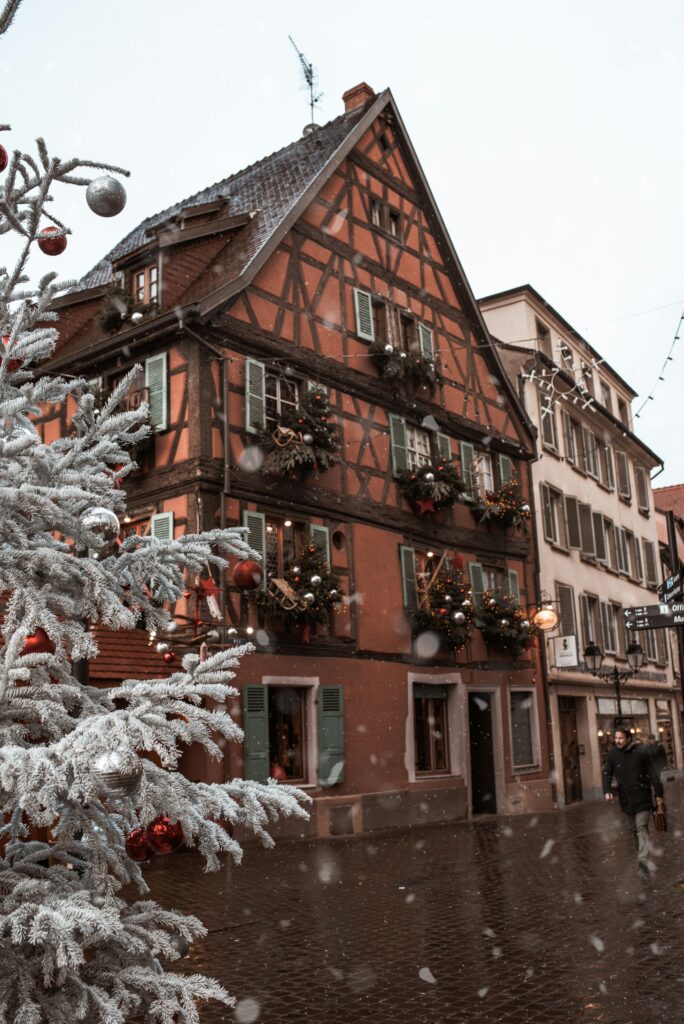 Sinziana susa 5zlvgmbvldw unsplash