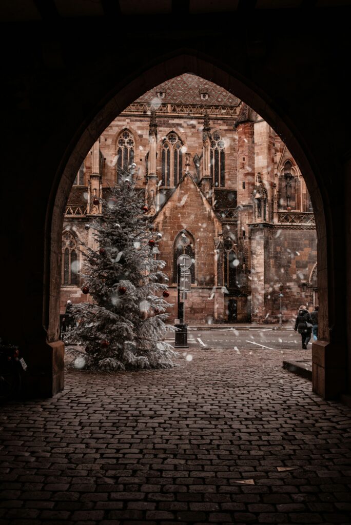 Sinziana susa zzeqvrlpl0k unsplash