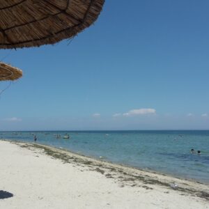 2017 06 25 (1)