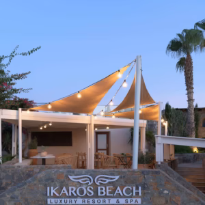 8bf766cc