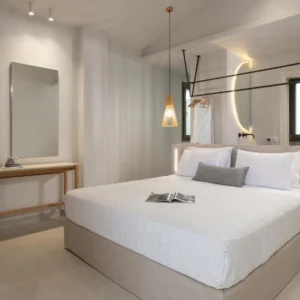 Philoxenia Hotel Psakoudia Sitonija Astra Tours 021 (1)