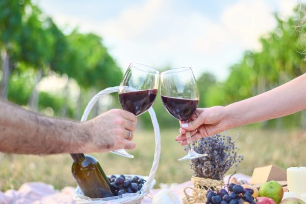 Woman and man making toasts with wine glasses. Picnic outdoors in the vine yard