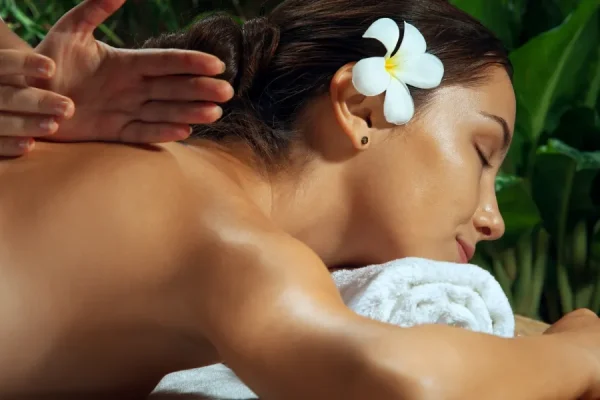 Terme Olimia Slovenija Wellness & Spa